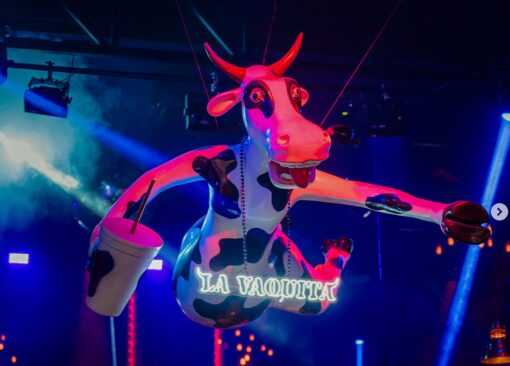 Los Cabos La Vaquita