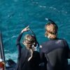 catamaran actividades image