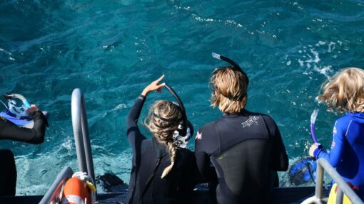 catamaran actividades image