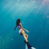 puerto vallarta snorkeling tours img
