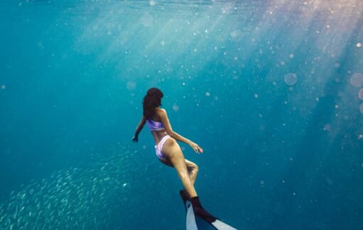 puerto vallarta snorkeling tours img