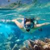 snorkel puerto vallarta img