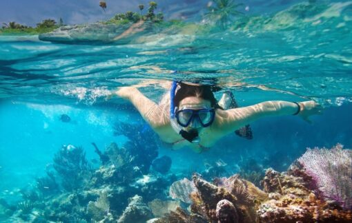 snorkel puerto vallarta img