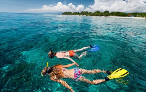 snorkeling puerto vallarta img
