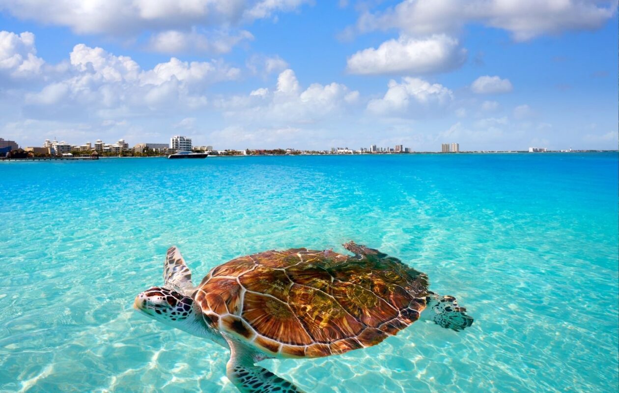 cancun horas img