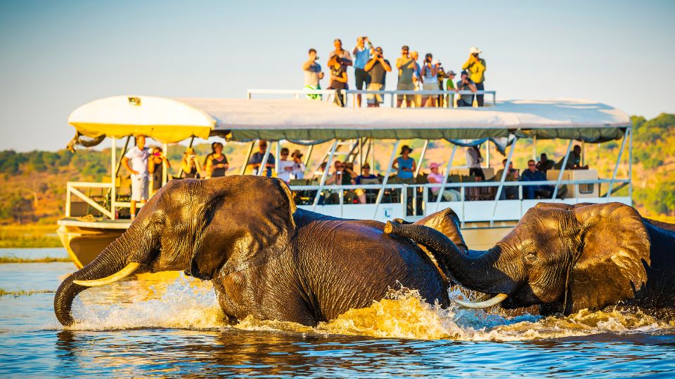 Safari Zanzibar