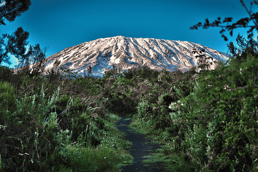 Tanzania Kilimanjaro img