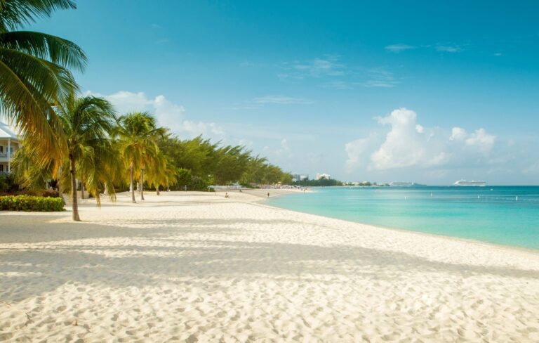 Seven Miley Beach img