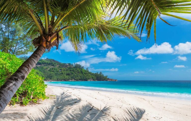 negril playa jamaica img