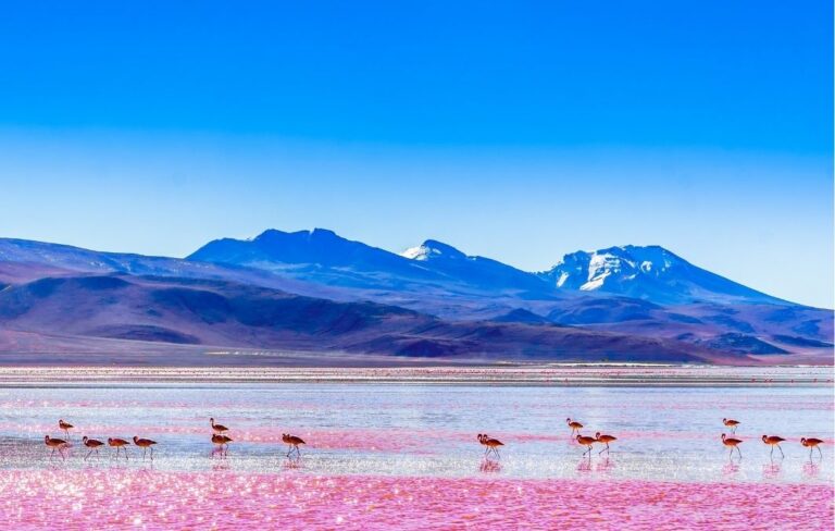 viajar bolivia img