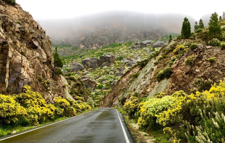 viaje a las palmas de gran canaria img