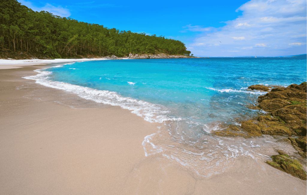 playa nudista img