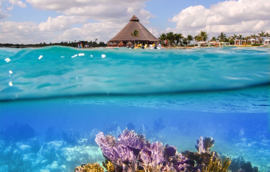 Cuando es verano en riviera maya img