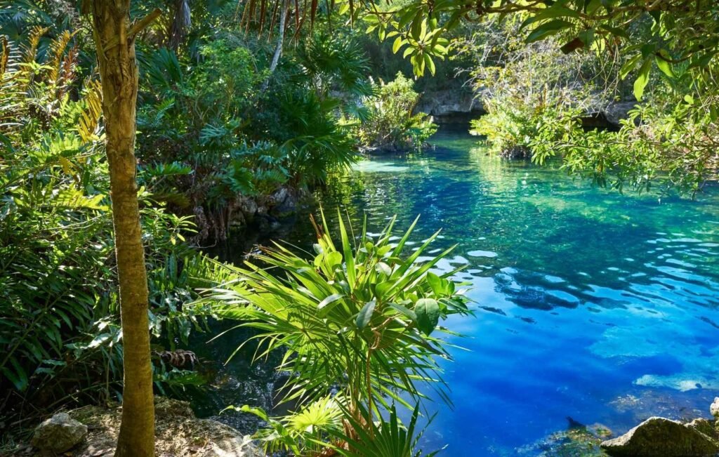 riviera maya en octubre img